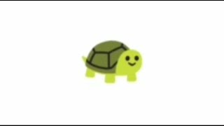 Cute Turtle GIF