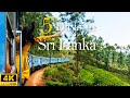 How to spend 5 days in sri lanka  the perfect travel itinerary