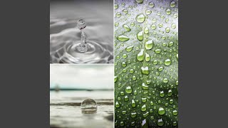 Exquisite Moods for Spring Storms