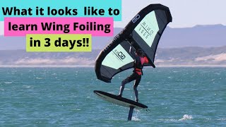 What it looks like to learn Wing Foiling in 3 days: My new light-wind  addiction after 1002 crashes!