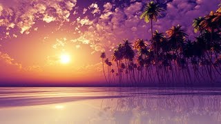 Most Relaxing Sleep Music, Relaxing Wind Chimes, Music for Relaxation, Music for Sleeping 🕙10 Hours