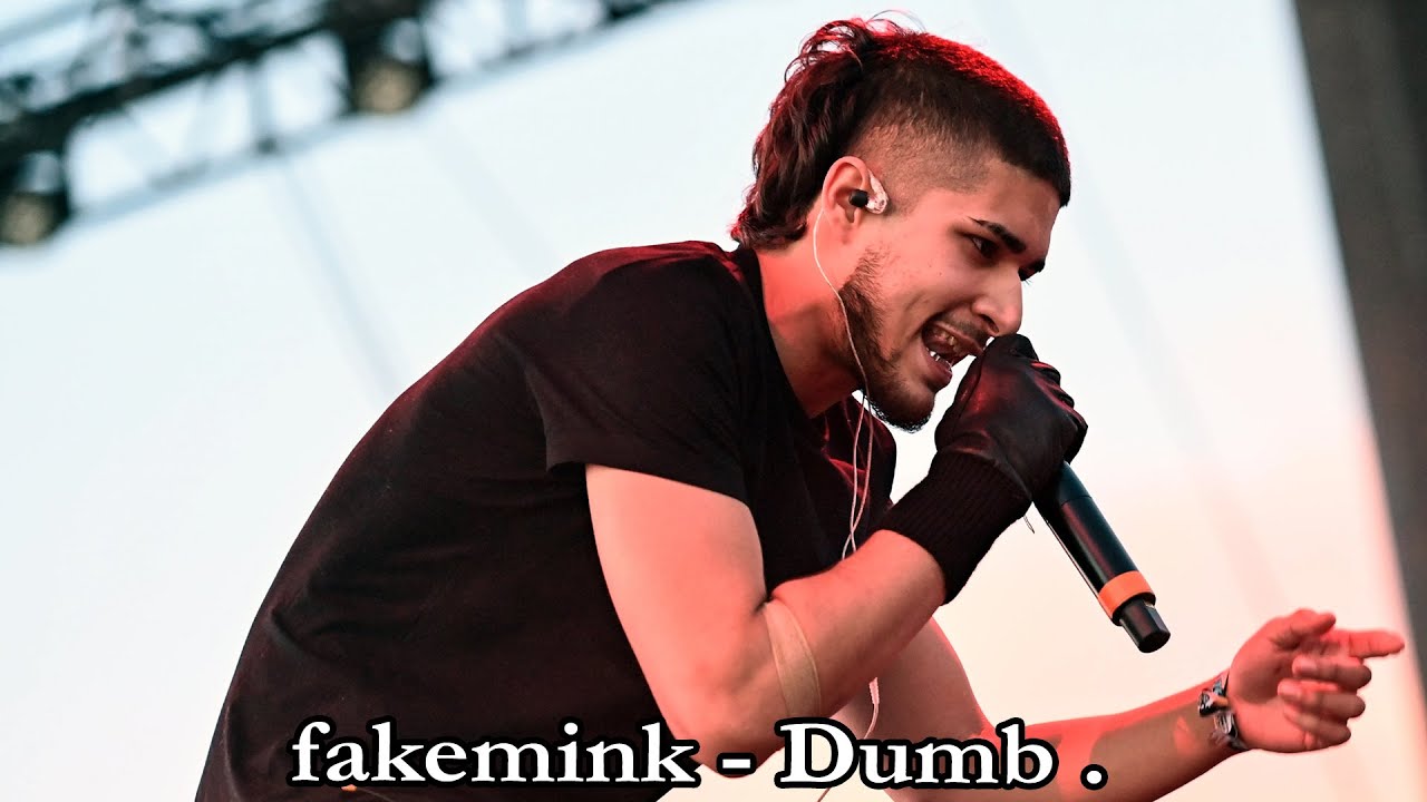 fakemink - Dumb . Lyrics