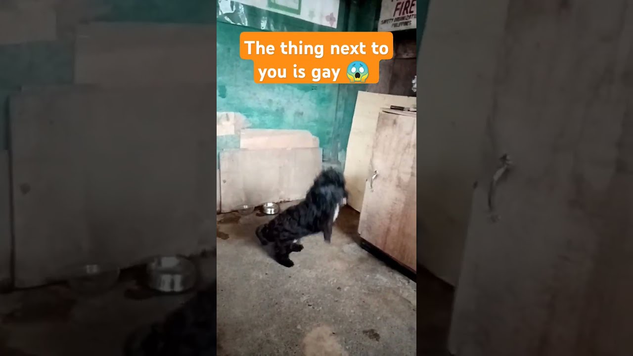  Trend Viral The Things Next To You Is Gay