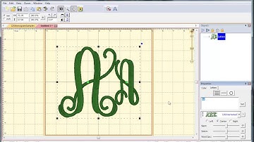 Video 6: How to Use BX files for Intertwined Vine from The Itch 2 Stitch in Embrilliance