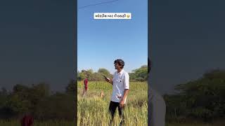 ઓકડીયા વાર ની લઠણી 😂🤣……….#gujju #roj #vikramthakor #gayal #khedut