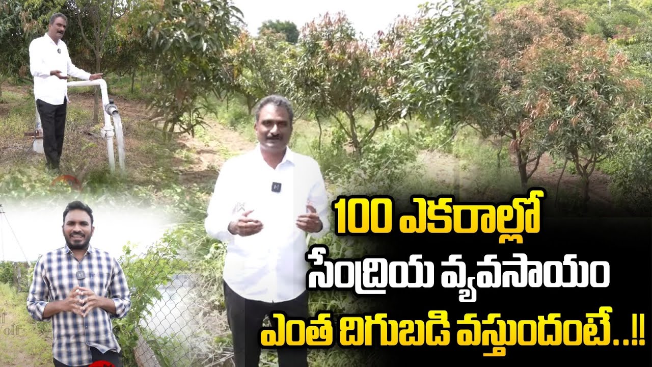 100 ఎకరాల్లో సేంద్రియ వ్యవసాయం | Organic Farming Tips | K Srinivas | In Acres | Raithu Nestham