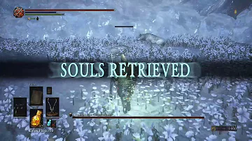 DS3 - Champion's Gravetender & Gravetender Wolf