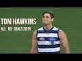Tom hawkins all 60 goals 2018