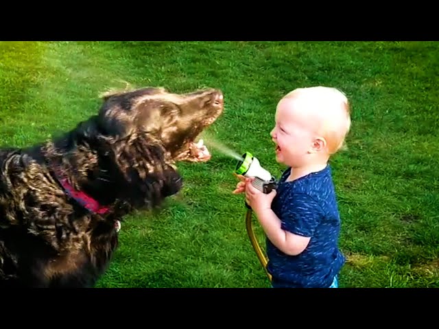 20 Minutes of HILARIOUS Babies Laughing With Pets 😹 | Kids and Animals 💕 class=