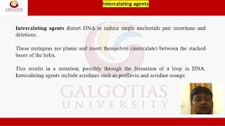 MSDB5002, Molecular Biology: Mutagenesis and Replication Fidelity