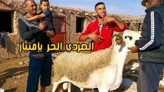 أكبر و أجمل حولي عند الكساب احمد الكليخ اجي تشوف جز صوف النعاج من ضيعة أشهر كساب في قلعة السراغنة