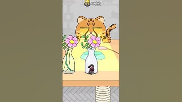 Hide and seek : Cat escape #shorts #gaming #shortsfeed #hideandseek
