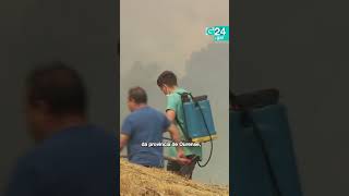 🔥 OURENSE | Os incendios que combaten nestes momentos CALCINARON máis de 42.000 hectáreas