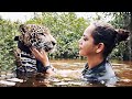 People saved the sinking jaguar, and he became their friend