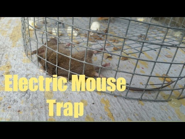 Maguire Electronic Mouse Trap Control Rat Killer Safe Pest Mice Electric  Rodent Zapper 