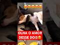 OLHA O AMOR DELES GENTE