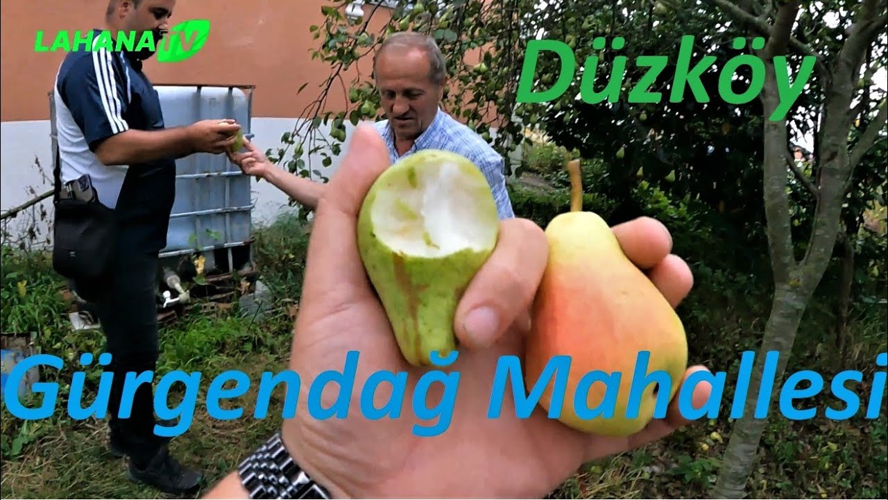 Gürgendağ  Mahallesi - Düzköy // Köy Manzaraları ve Yol Sohbetleri