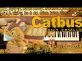 Catbus   piano music 