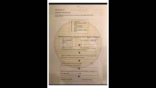 Vol 4 - test 1 - section 3