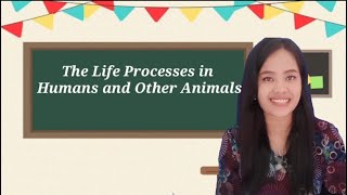 The Life Processes in Humans and Other Animals (Grade 3) ll Science for You