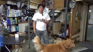 地震だ！震災に備えた消火用品を紹介します