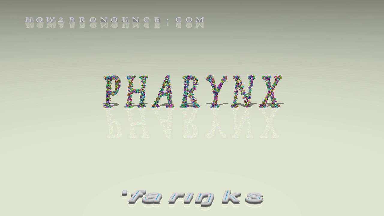 pharynx pronunciation + Examples in sentences and phrases YouTube