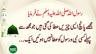 Hadees Mubarak | Hadees e Nabvi | hadith in urdu | حدیث شریف screenshot 1