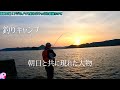 [#沖一文字で釣りキャンプ3]ついにキタ！アジのノマセで大物が目を覚ました！最後にやってくれたちゅて。#和歌山 #小浦一文字 #中紀
