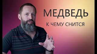 МЕДВЕДЬ. К чему снится медведь