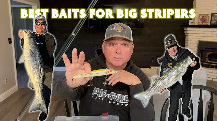 Big Striper Lures Explained