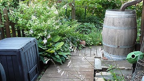 Rain Barrel Overflow