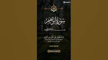 💚سورة إبراهيم الاية 38_39💚بصوت خاشع ♥️♥️