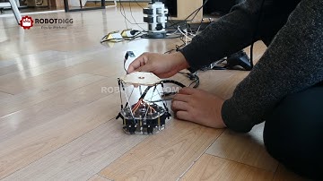 RobotDigg hobby 6 DOF stewart platform using RC Servos