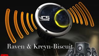 The Best Of NCS (Raven & Kreyn-Biscuit)