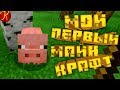 Мой Первый Майнкрафт(Minecraft)