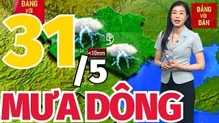 Dự Báo Thời Tiết Hôm Nay 31\/5: Bản tin Dự Báo Thời Tiết trong 3 ngày tới mới nhất trên cả nước