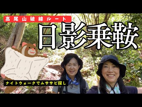 高尾山 - YouTube