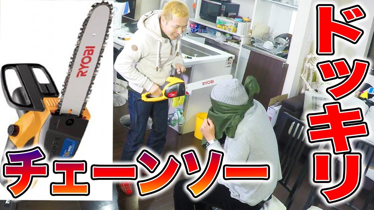再アップ チェーンソーでファルコンにドッキリしてみた Youtube