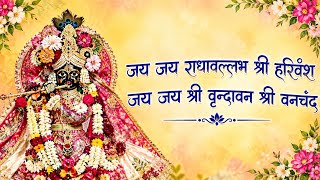 🌸 श्री राधा बल्लभ लाल जी 🌺! Radha Vallabh lal ji ! Namjap ! नामजाप ! Mantra ! मंत्र जाप #radheradhe 