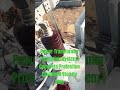 Power Transformer Protection System | Complete Protection Explained Step by Step