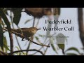 Paddyfield Warbler Call With Spectrogram Bengali Name а а а а џа їа а а ѕ а а ѕ а а ѕа Ё а а Ѓа џа а ї Bird Song 6 Paddyfield Warbler Call With Spectrogram Bengali Name а а а а џа їа а а ѕ а а ѕ а а ѕа Ё а а Ѓа џа а ї Bird Song 6