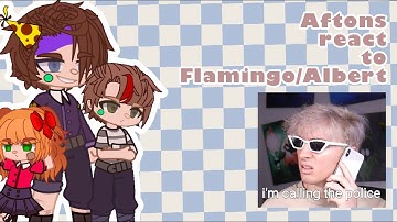 Aftons react to Flamingo/Albert
