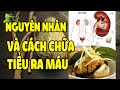 Biết Những Nguyên Nhân Chính Dẫn Đến Tiểu Ra Máu Này Và Những Cách Chữa Trị Để Không Bao Giờ Bị