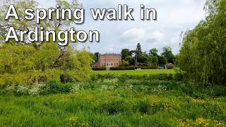 A spring walk in Ardington, Oxfordshire
