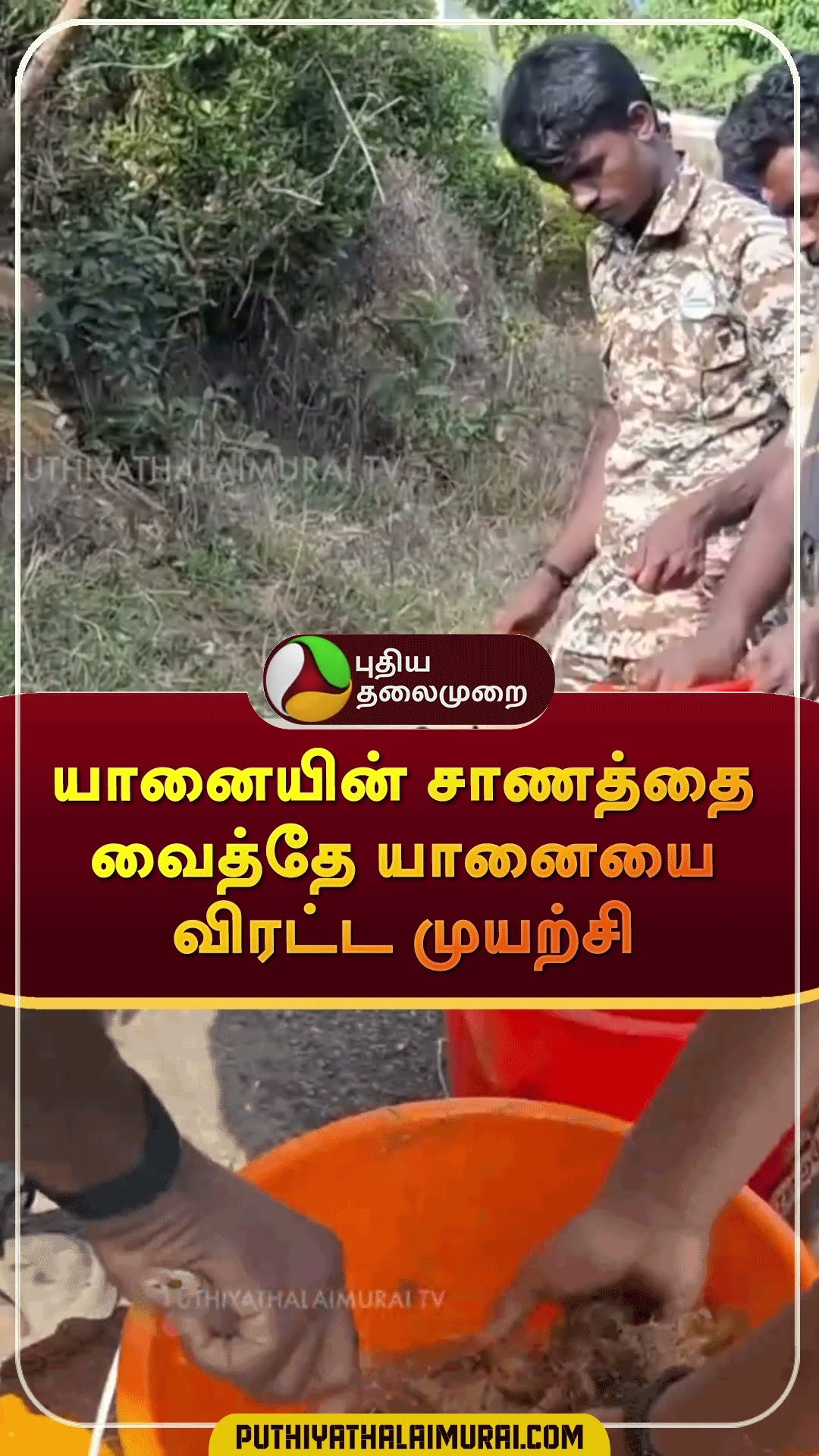 யானையின் சாணத்தை வைத்தே யானையை விரட்ட முயற்சி | #shorts | #nilgiri