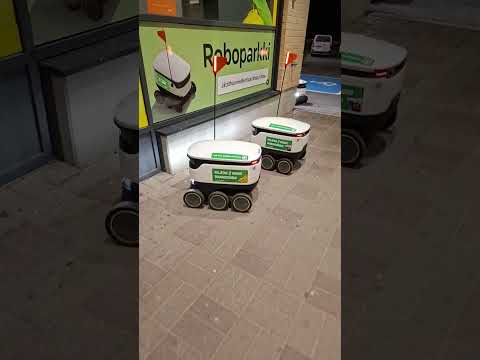 ruokarobotti