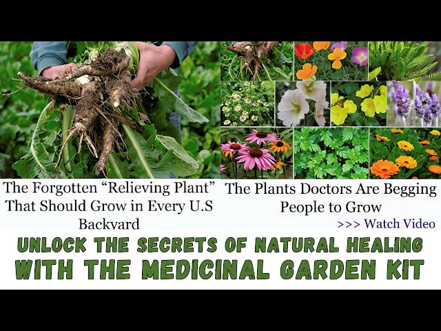 Unlock the Secrets of Natural Healing with the Medicinal Garden Kit #herbalmedicine #herbalgarden
