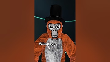 IS THIS VIDEO A LOOP? #gorillatag #vr #gtag #loop