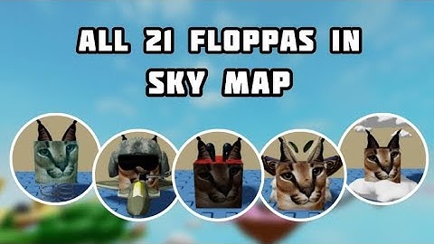 Find the floppa morphs sky map (all 21)