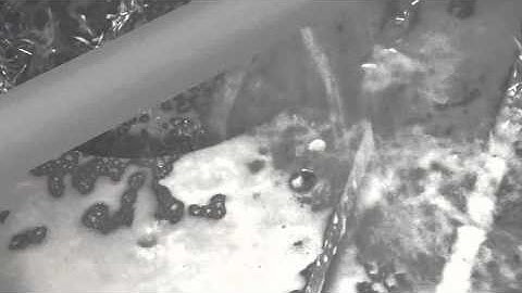 Tongtai VP-8 cutting trial